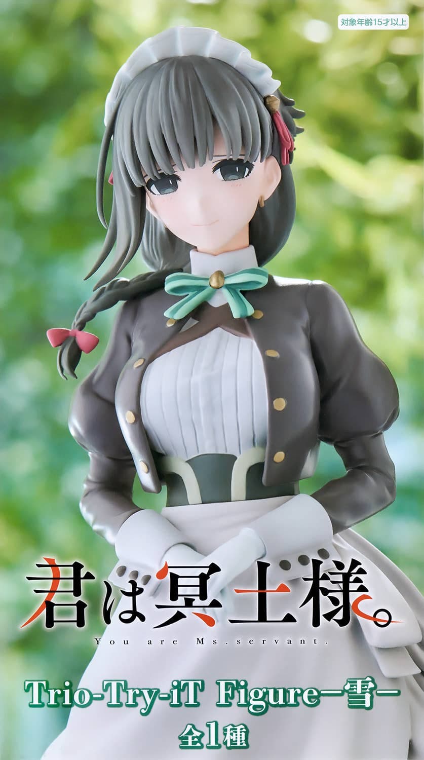 You are Ms. servant. Trio-Try-iT Figure -Yuki-