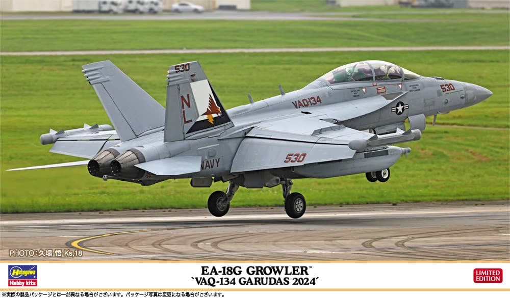 1/72 EA-18G GROWLER VAQ-134 GARUDAS 2024