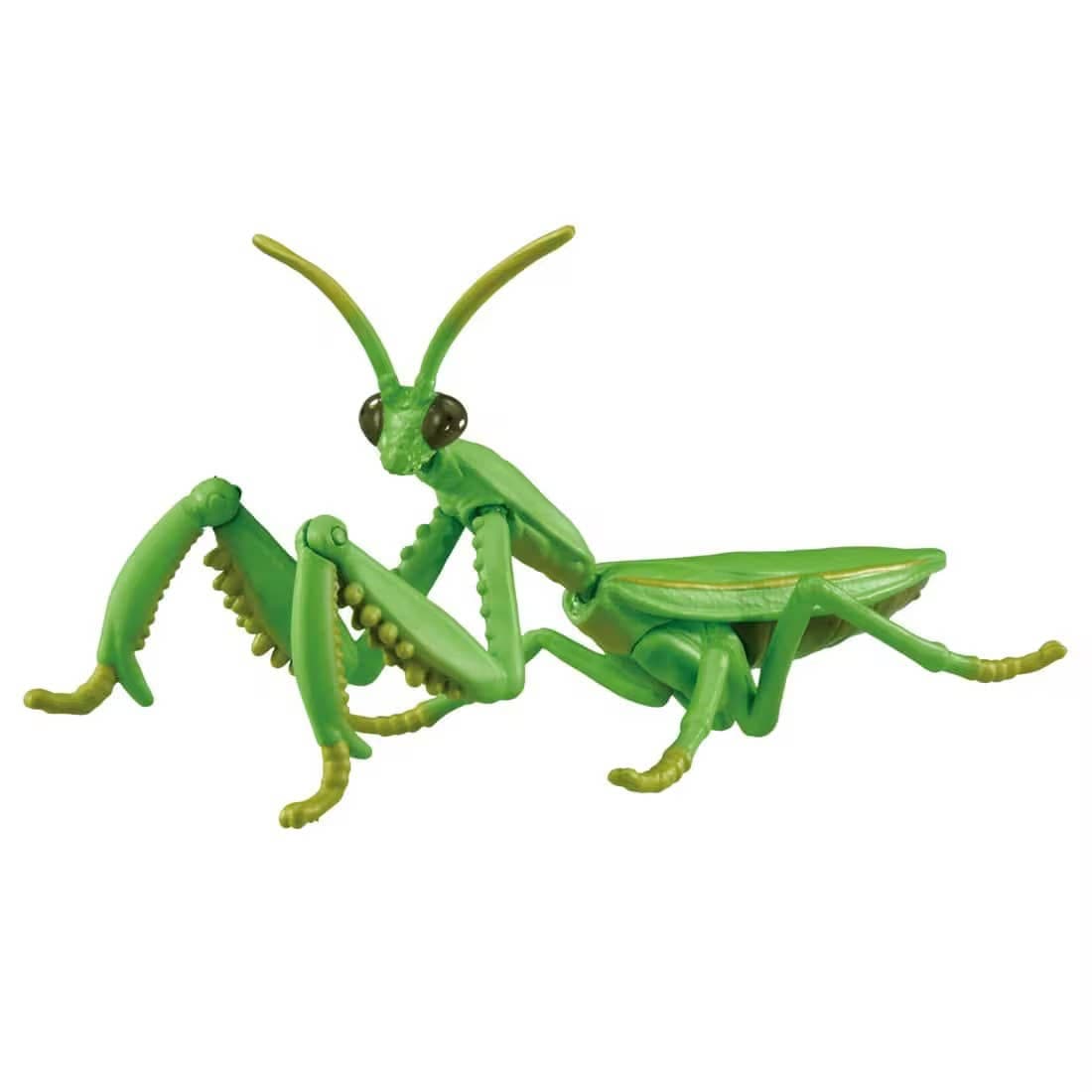 Ania AL-32 Giant Mantis