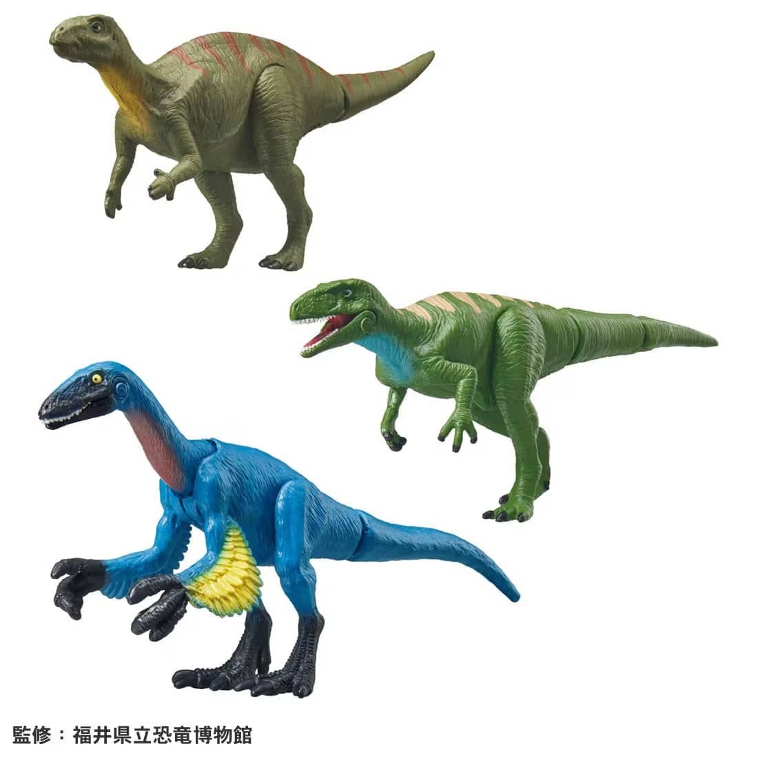 Ania AA-04 Excavated in Fukui! Japanese Dinosaur Set
