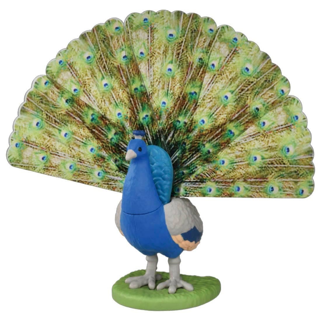 Ania AS-16 Peafowl (Indian Peafowl)