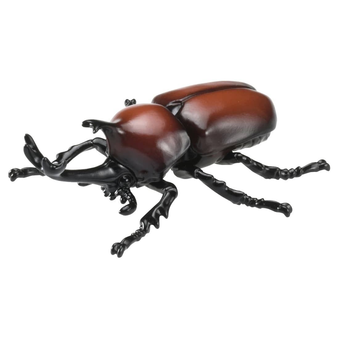 Ania AS-37 Rhinoceros Beetle