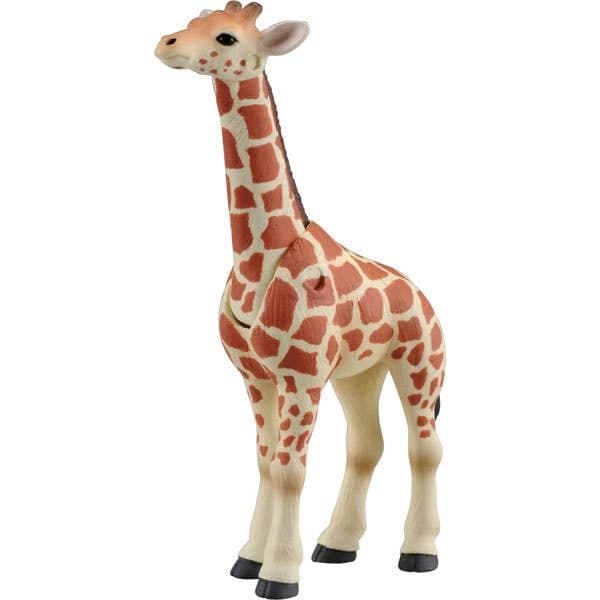 Ania AS-12 Reticulatad Giraffe (Child)
