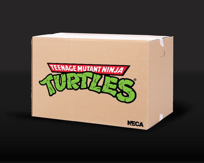 Teenage Mutant Ninja Turtles Blind Box - $400 worth of collectibles