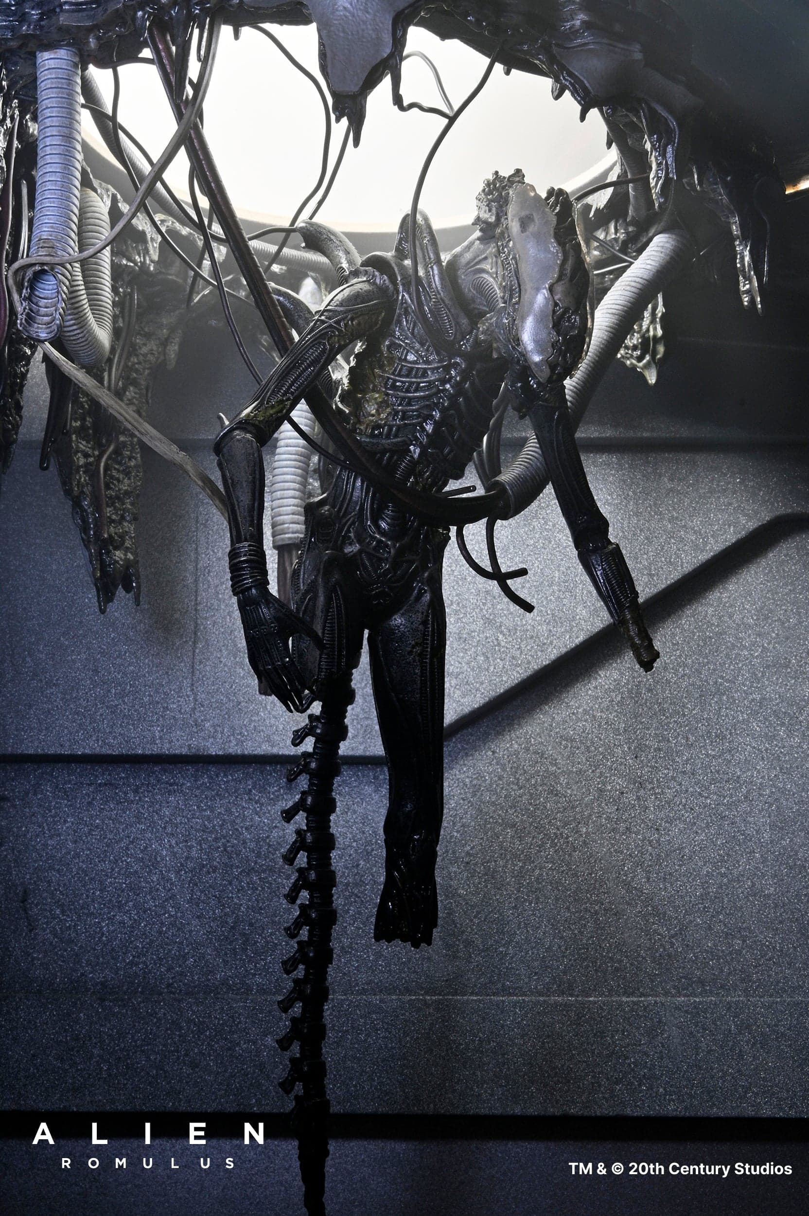 Alien: Romulus - Deluxe Suspended Lab Xenomorph XX121 7" Scale Action Figure