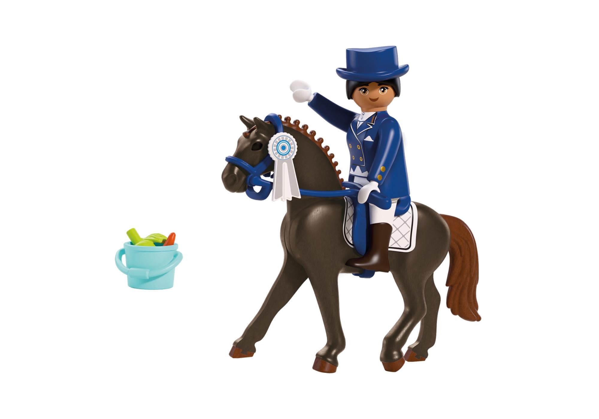 Equestrian Dressage