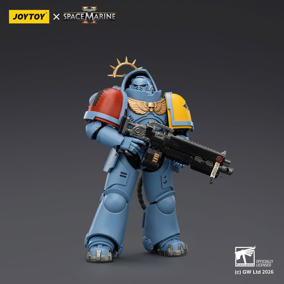 Game Edition Space Wolves Heavy Intercessor with Heavy Bolt Rifle and Bolt Pistol