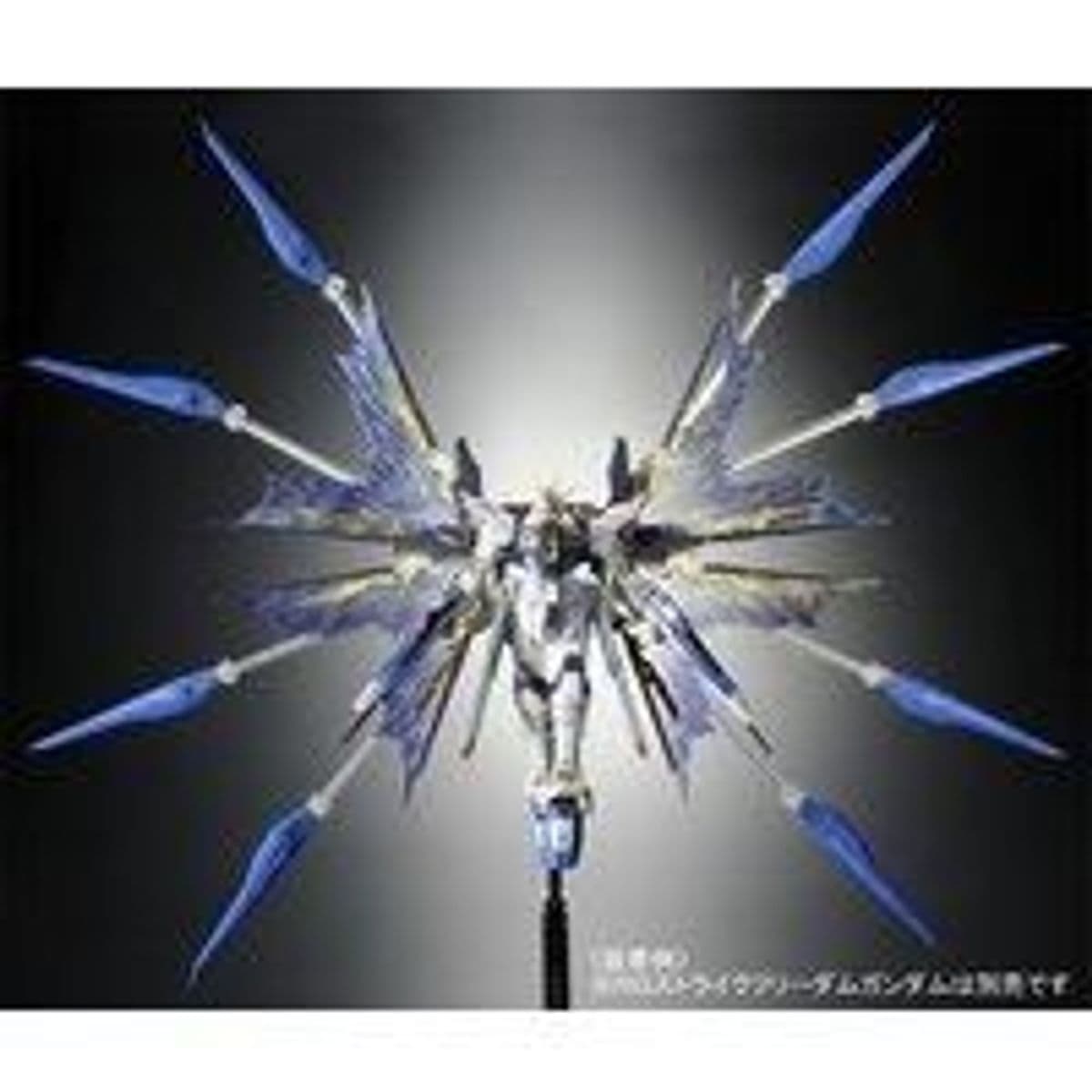 Extended Effects Unit for RG 1/144 ZGMF-X20A STRIKE FREEDOM GUNDAM
