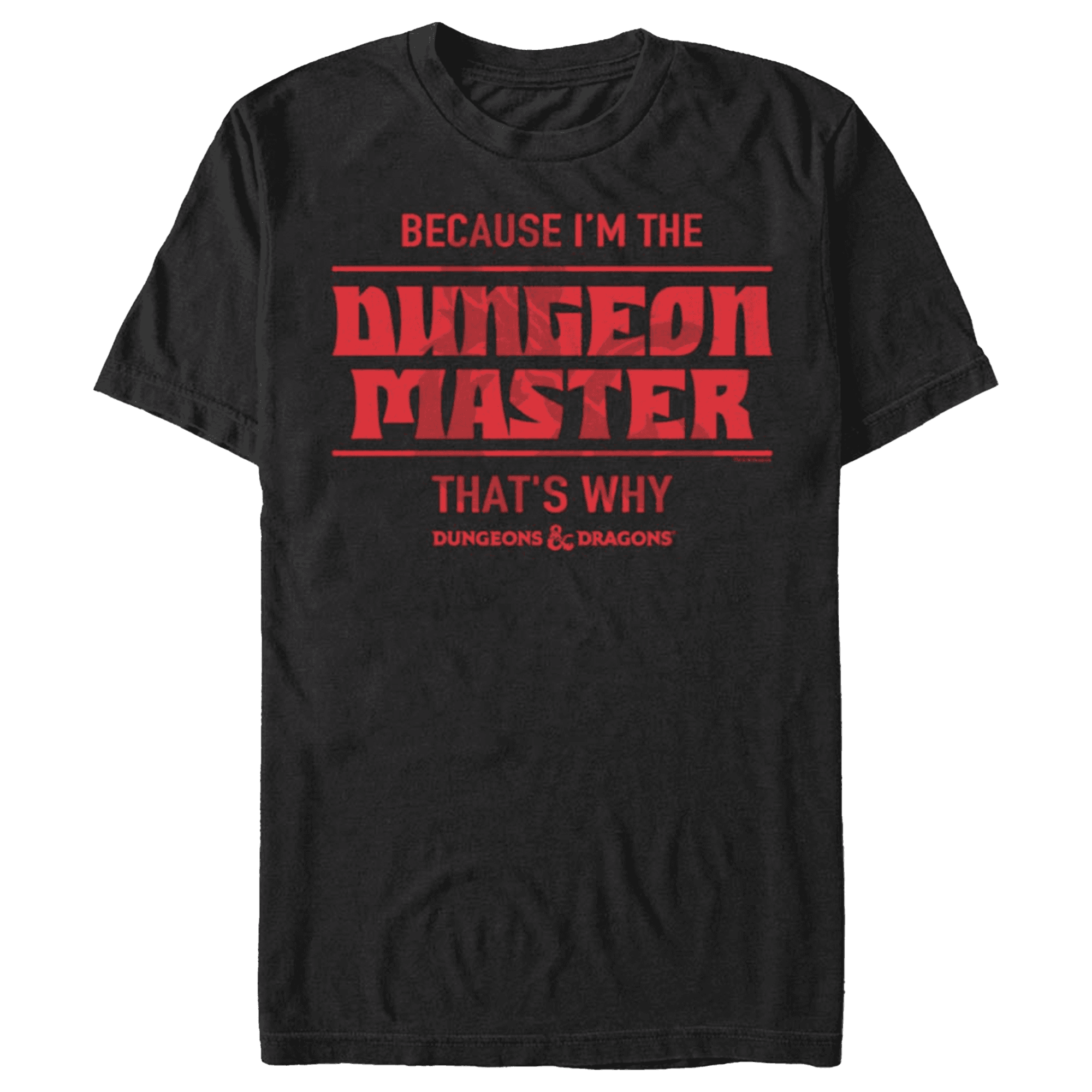 Dungeons & Dragons DM Men's T-Shirt